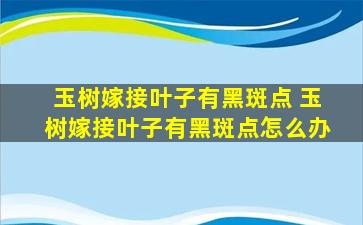 玉树嫁接叶子有黑斑点 玉树嫁接叶子有黑斑点怎么办